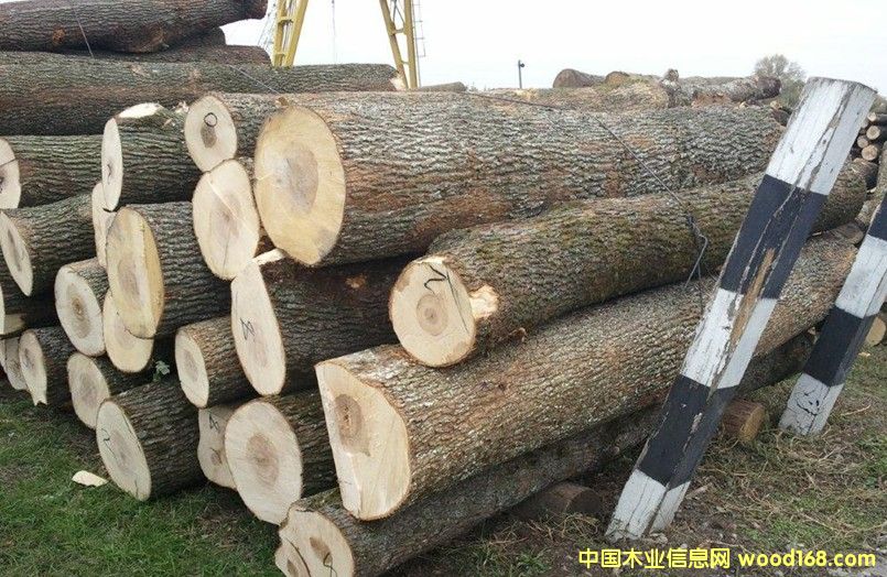 ��ľԭľ��Ԕ��(x��)��B