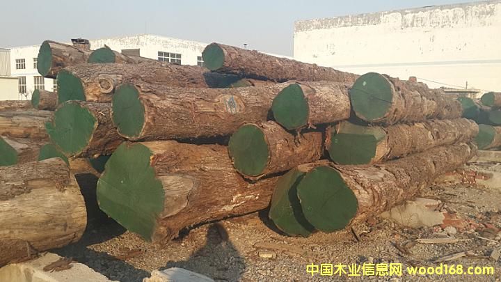 ��ľԭľ��Ԕ��(x��)��B