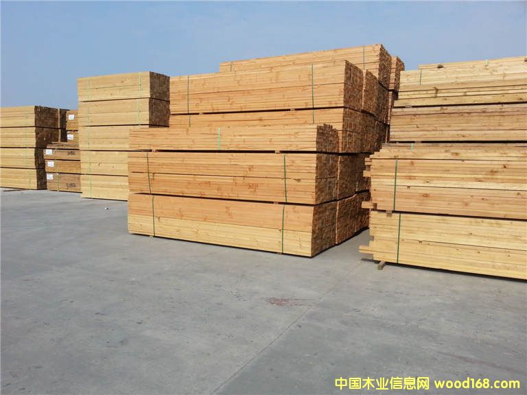 ����ľ�ĵ�Ԕ����B