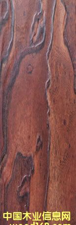 ɭ�����ذ��Ԕ��(x��)��B