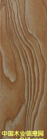 ɭ�����ذ��Ԕ��(x��)��B