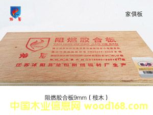 [��] ��ȼ��9mm