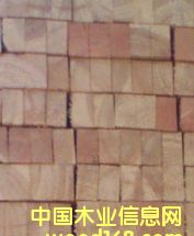 ��(sh��)ľ�ذ����ǵ�Ԕ��(x��)��B