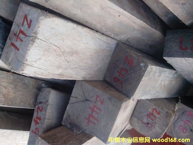 ��֦ԭľ���ϵ�Ԕ��(x��)��B