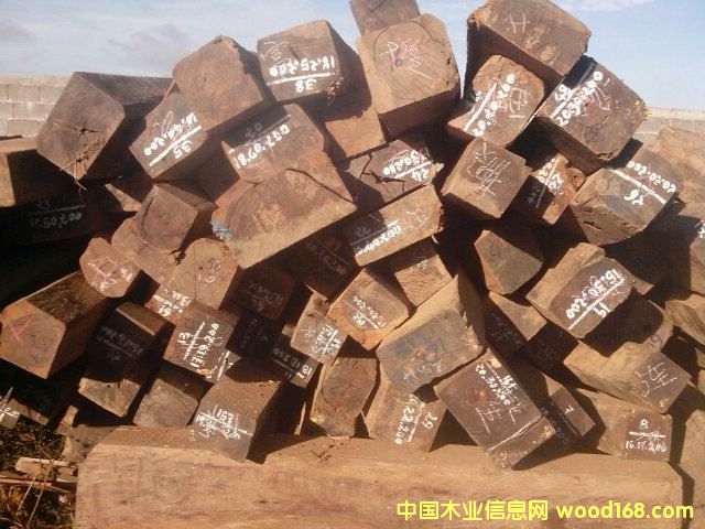 ����ľ��Ԕ��(x��)��B