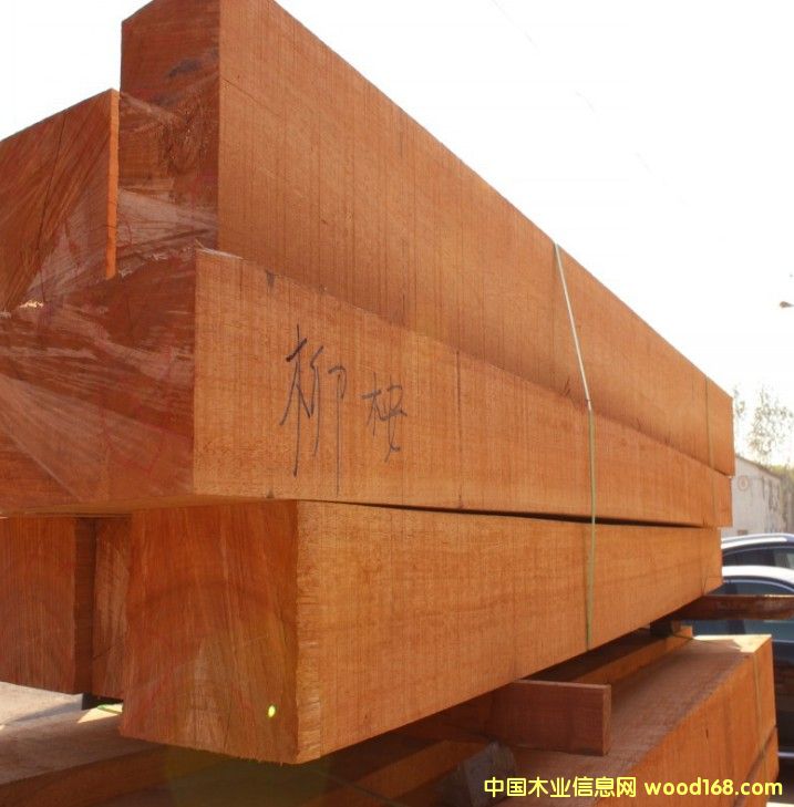 ����ľԭľ������ľ�S��