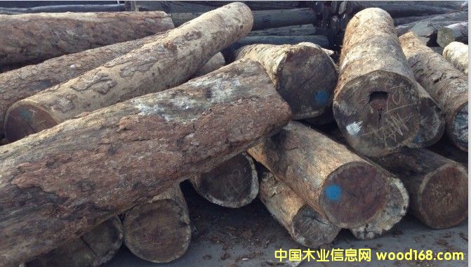 �ڶ���ľchechem