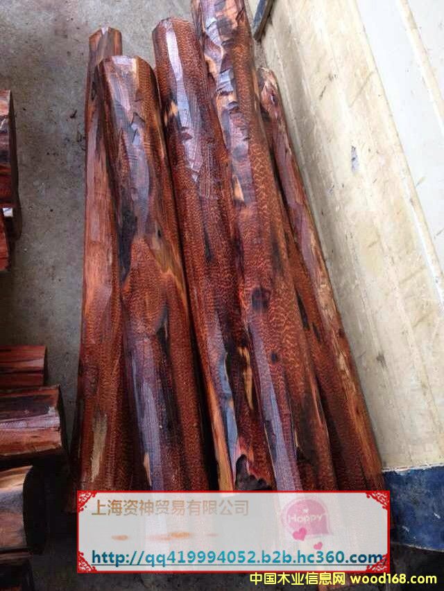 �߼yľ��Ԕ��(x��)��B