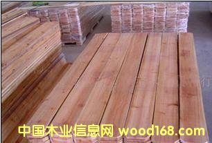 ɽ��ľ����Ƭ��