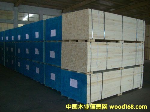 F���Ǘ�ľLVL