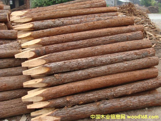 ���B(t��i)�g��ɼľ��