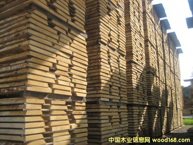 �W�ް���ľ���1