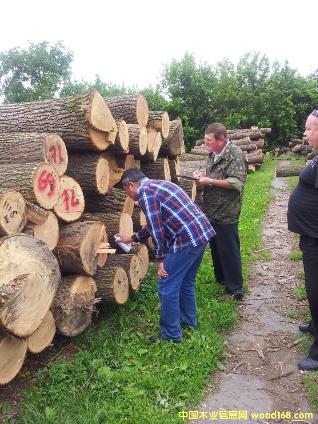 ��ľ��Ԕ��(x��)��B