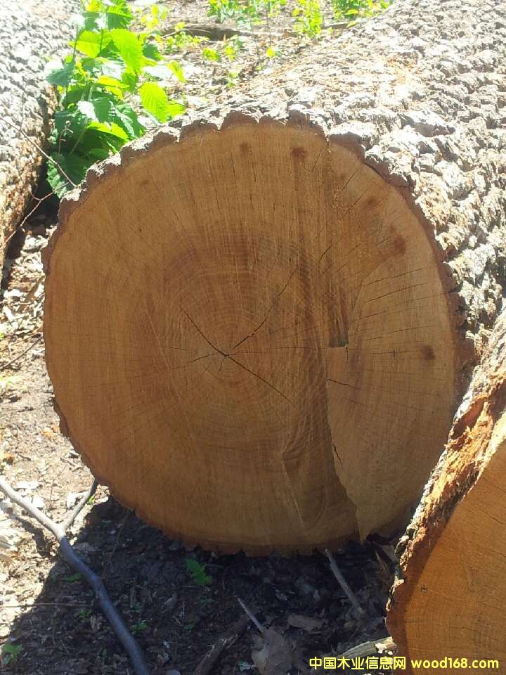 ��ľ��Ԕ��(x��)��B