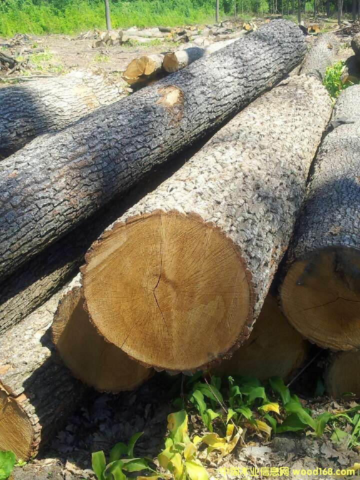 ��ľ��Ԕ��(x��)��B