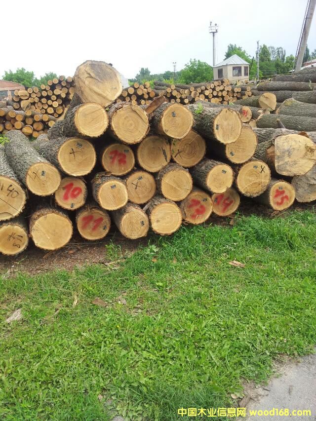 ��ľ��Ԕ��(x��)��B