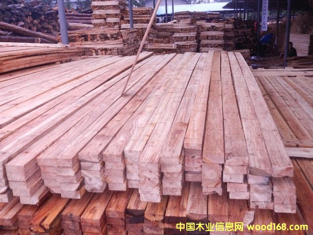 ľ�����T�l��