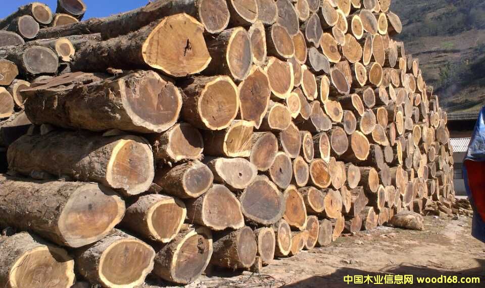 �S���ԭľ�����_�������