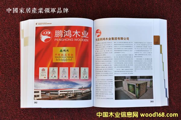 ���B�i��ľ�I(y��)���F(tu��n)�@2013��ȡ����㪄(ji��ng)���Ї��ҾӮa(ch��n)�I(y��)�I(l��ng)܊��I(y��)