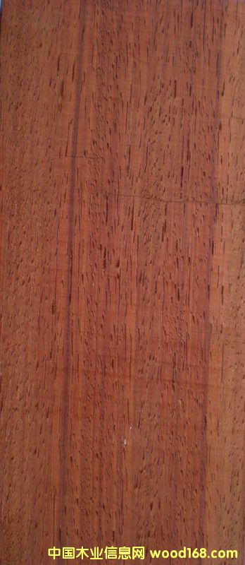 �t�����Ԕ����B