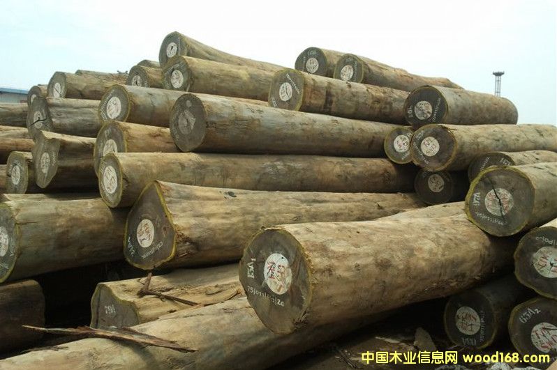 ����ľ����Ԕ����B