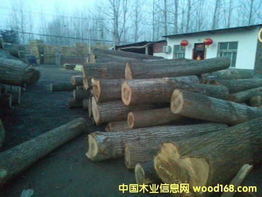 [��] ����(y��ng)���ϗ�ľ��ɰ��