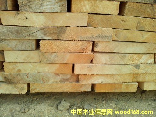 [��] ����(y��ng)���ϗ�ľ��ɰ��