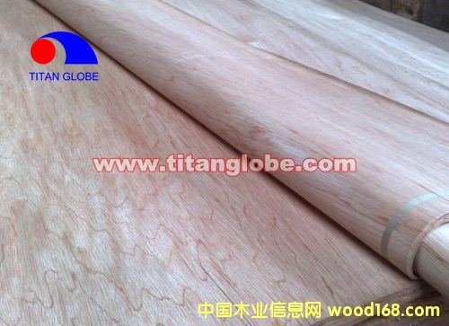 Hardwood Veneer -  Titan Globe��Ԕ��(x��)��B