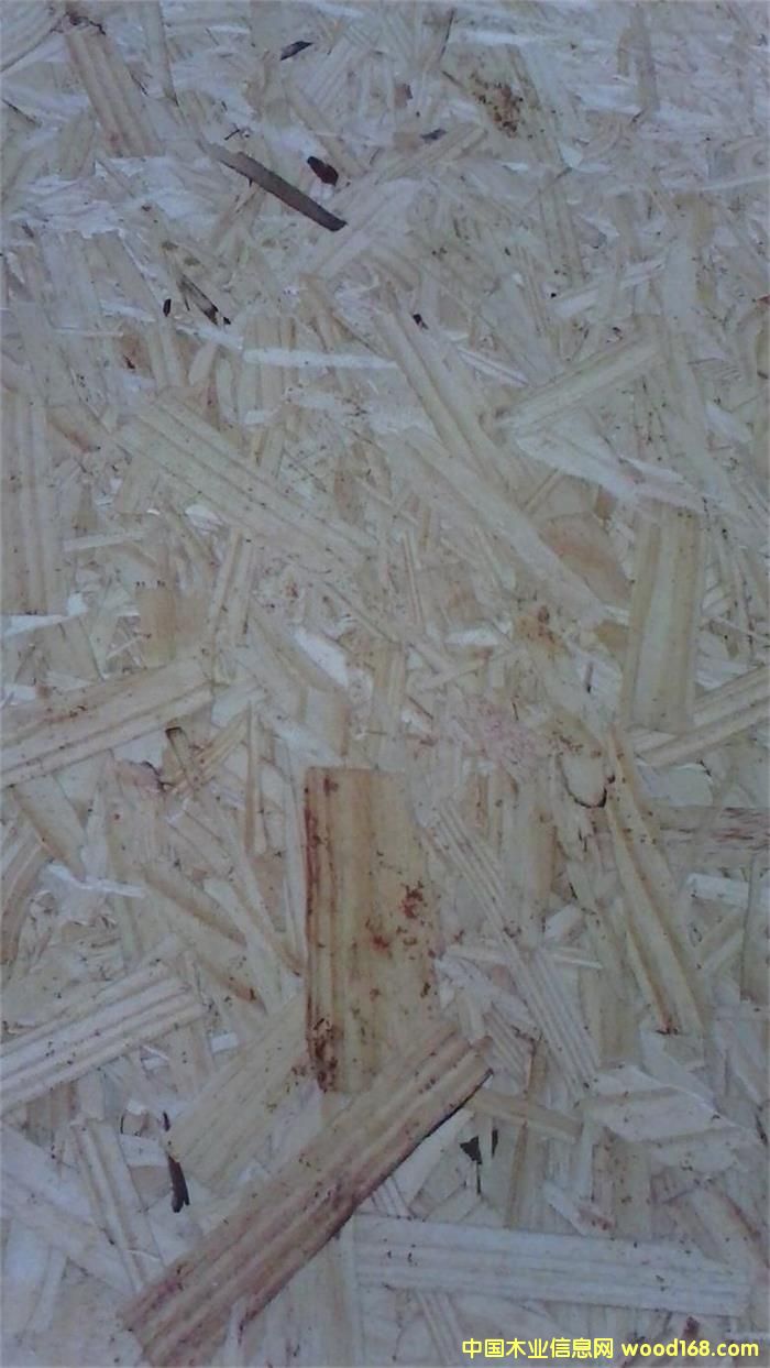 ��(gu��)�W�ɰ�