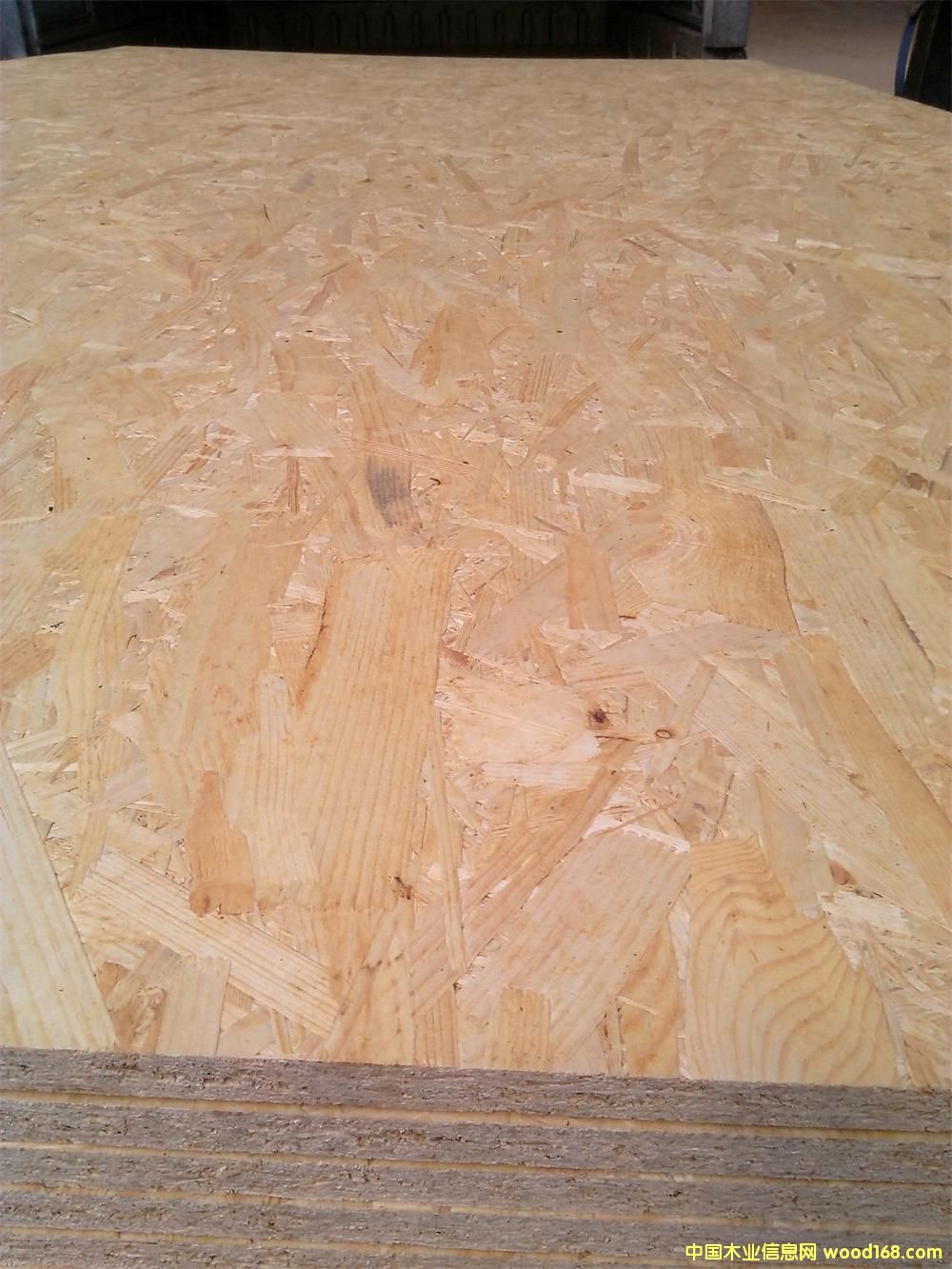 ��(gu��)�M(j��n)�ښW�ɰ�