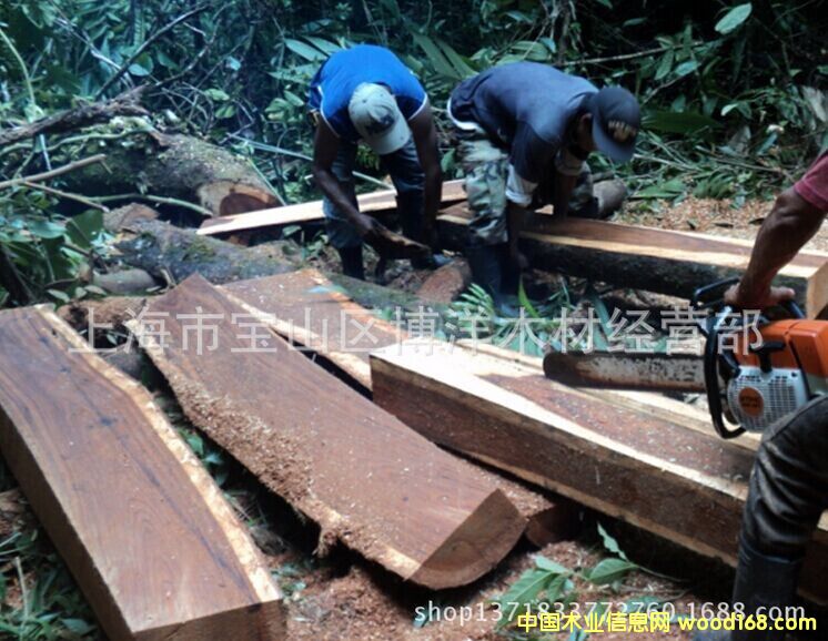 ���~�S���沮��Ɲ�S̴��Ԕ����B