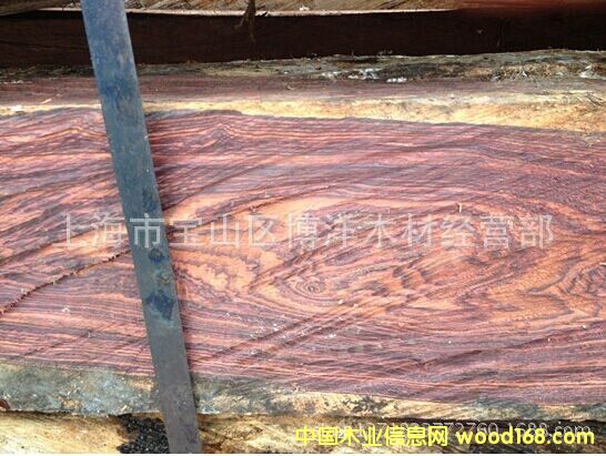 ���_�m��֦