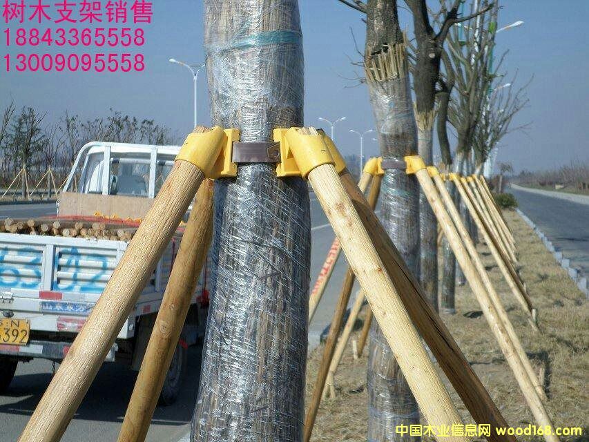 ��(sh��)ľ֧�ܵ�Ԕ��(x��)��B