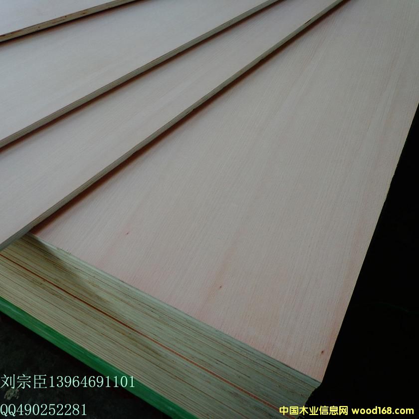 �t�������Ԕ��(x��)��B