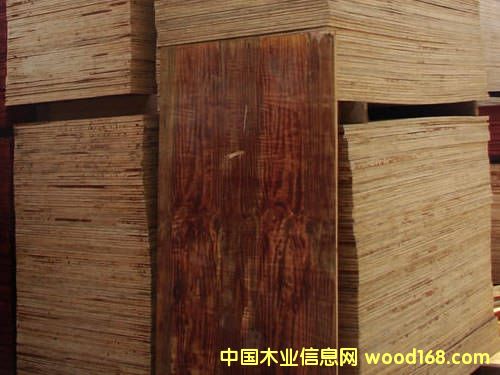 ��ͨ�����z��-ȫ��ľ��Ԕ����B