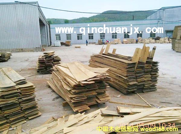 �ذ�����N����Ԕ��(x��)��B