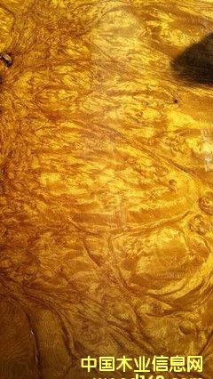 ��z�ľ��������Ԕ��(x��)��B