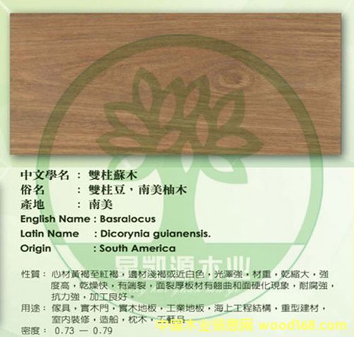 ����-��ľ��Ԕ��(x��)��B