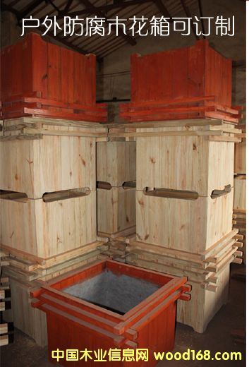 ӆ��·߅ľ�|(zh��)����N��� ���^�@�֏V������ľ����