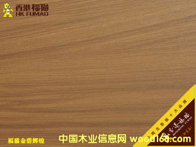 ��۸�؈����x��