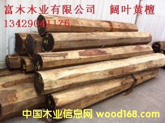 闊葉黃檀的詳細(xì)介紹