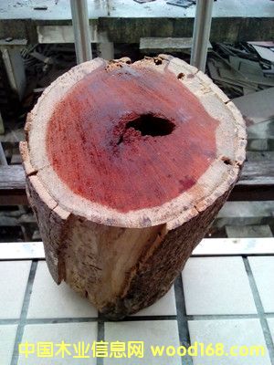 小葉紫檀的詳細(xì)介紹