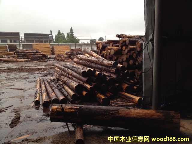 [��] �ձ�ɼԭľ ��ɼľ ��ɼľ һ��؛Դ�M(j��n)��