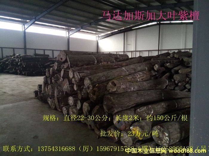 ���~��̴��Ԕ��(x��)��B