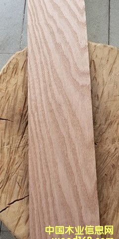 �t���Ԕ��(x��)��B