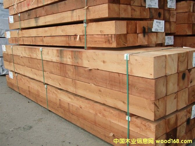 �tѩ�� �����tѩ��