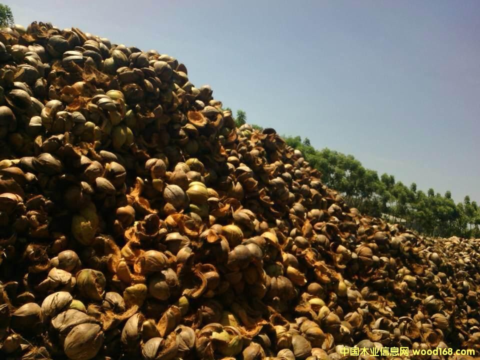 Ҭ������Ҭ��Ԕ����B