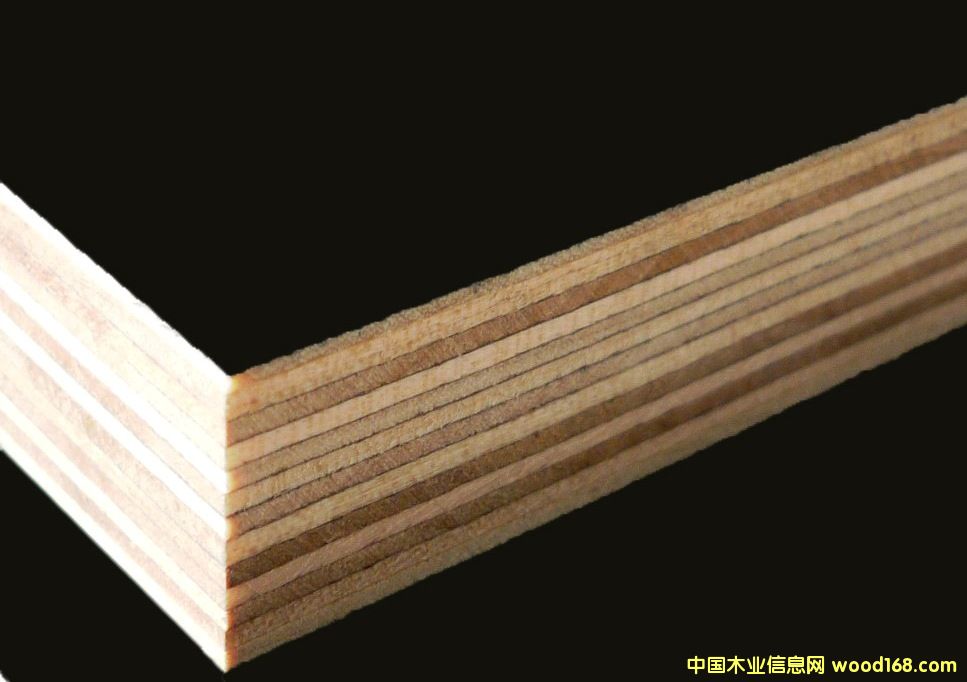 ����Ĥģ��