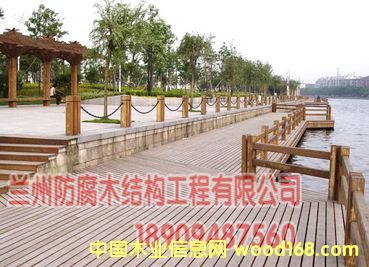 ����ľ����ľ����