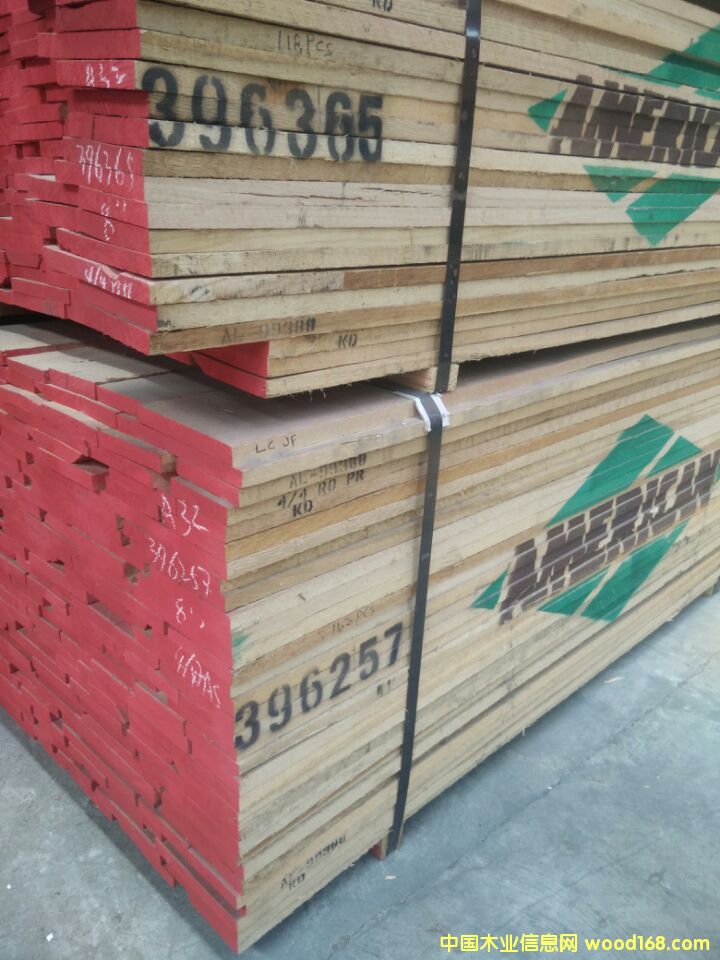 紅橡的詳細介紹